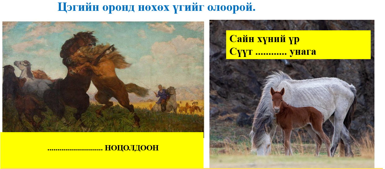 Мэдлээ | Цахим контент